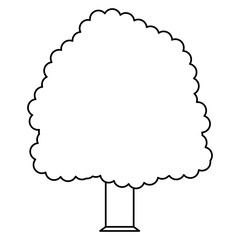 Beautiful tree isolated icon vector illustration graphic design