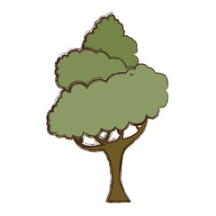 Beautiful tree isolated icon vector illustration graphic design