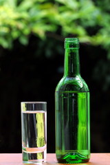 Bottle of spirit and shot glass.