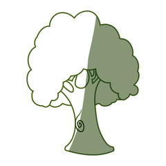 Beautiful tree isolated icon vector illustration graphic design