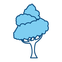 Beautiful tree isolated icon vector illustration graphic design