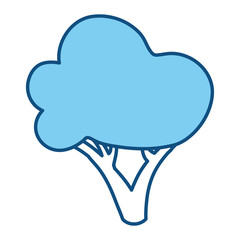 Beautiful tree isolated icon vector illustration graphic design