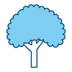 Beautiful tree isolated icon vector illustration graphic design