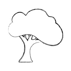 Beautiful tree isolated icon vector illustration graphic design