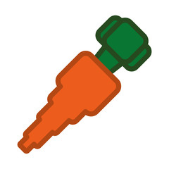 carrot sweet vegetable