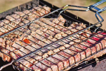 
B-B-Q. Brisket. Grill. Hot meat. Camping. Picnic. Sunny weather.
