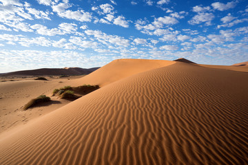 Fototapeta na wymiar Dune in Namib Desert, Namibia