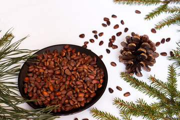 Pine nuts and pine cones