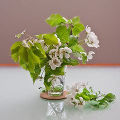 A bouquet of blossoming apple branches on a glossy table. White flowers on a branch. Glass beaker. Vase with flowering plants. Spring flowering
