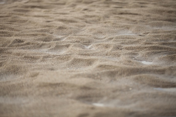 Tiny sand dunes on the beach made by the water current.