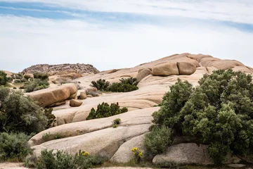Zelfklevend Fotobehang Olijfgroen Boulderformaties en wilde bloemen in Joshua Tree National Park in de woestijn van Californië.