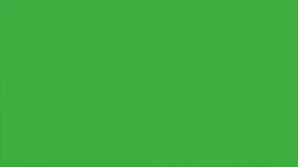 Two best friends meeting on Green Screen Background