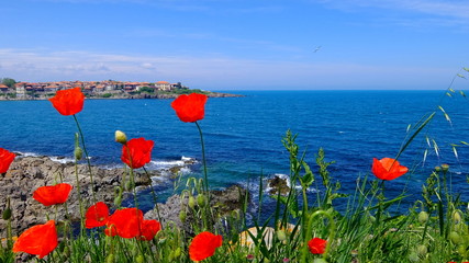 The charm of Sozopol