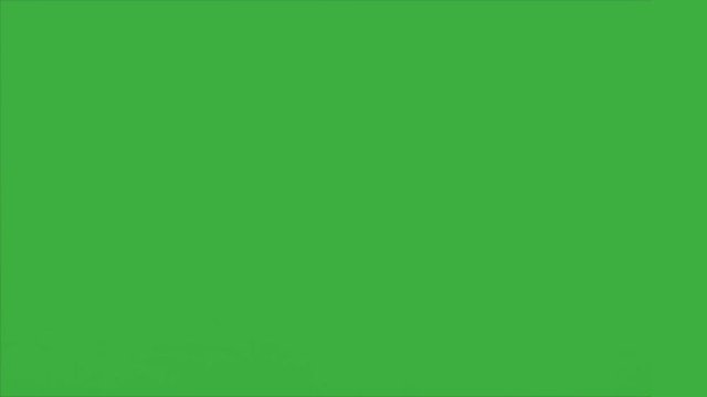 Two best friends meeting on Green Screen Background