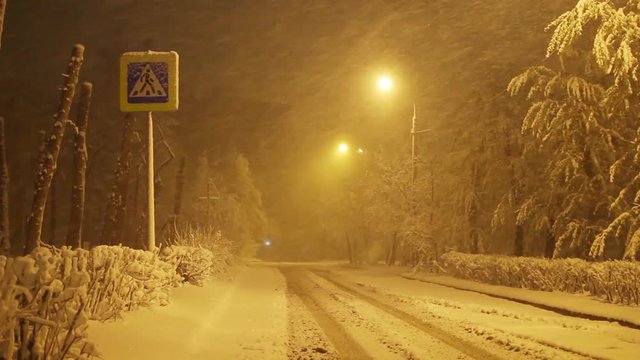 Snowstorm on empty road at night in the city, Pedestrian crossing sign