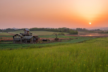 Sunrise in the field, Anseong, South Korea.