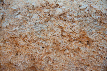 texture of coquina. Sand brick with spongy surface closeup