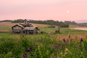 Sunrise in the field, Anseong, South Korea.