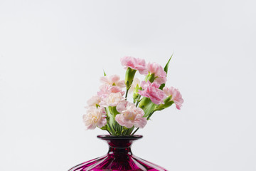Naklejka premium Blossom pink spray carnation flower in vase