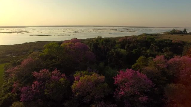 Scenic aerial view of lake in Ibera Wetlands, Corrientes Province, Argentina