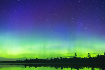 Vibrant green northern lights on the horizon in night wilderness