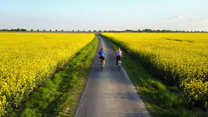 aerial video of two people cycling on asphalt road in countryside between yellow fields in beautiful landscape, bicycle sport - Powered by Adobe
