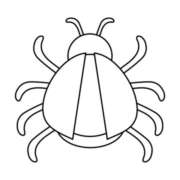 bug or beatle icon image vector illustration design  black line