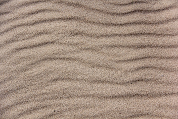 Fototapeta na wymiar windy sea sand texture