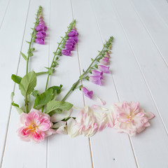 Still life with three foxgloves, two pink roses and fallen rose petals on white wooden background