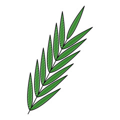 leaves plant spring nature foliage garden vector illustration