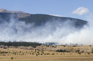 Fototapeta premium Controlled Forest Fire in the Mountains