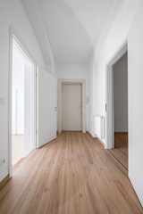 entrance door and corridor of new flat / apartment /shop