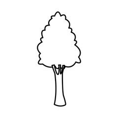 tree for forest park and plant natural image vector illustration