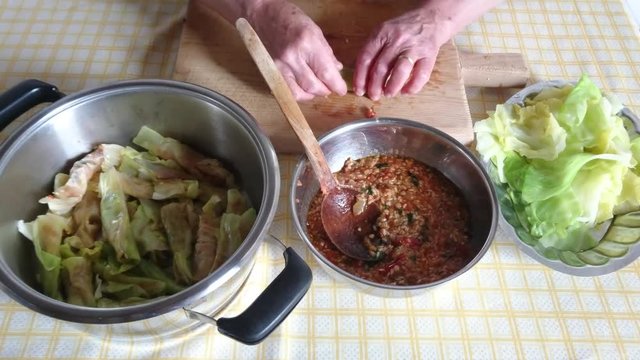 Turkish cuisine. Homemade Sarma - Rice wrapped in grape leaves