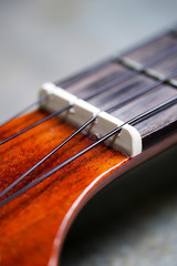 Detail of ukulele nut and black nylon strings.