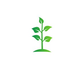 Obraz premium Plant logo