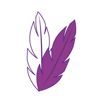 feathers icon over white background. vector illustration