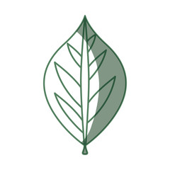 Leaf ecology symbol icon vector illustration graphic design