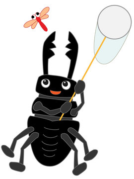クワガタムシの虫取り