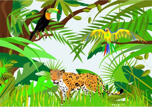 Jungle life vector illustration