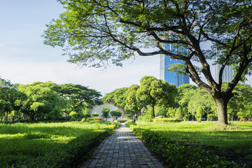 Image of green garden background in the park
