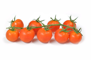 Cherry tomato on white background  - isolated