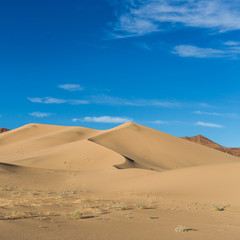 Fototapeta na wymiar Sandunes in Desert