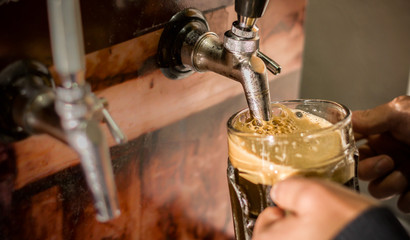 Bartender filling up with craft beer a pint glass