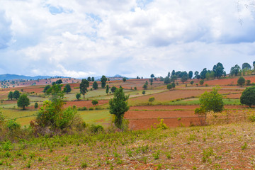 Farmland