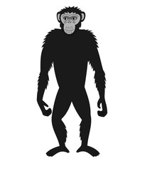 illustration with chimpanzee monkey vector