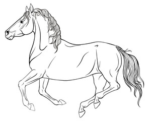 Obraz na płótnie Canvas Page coloring with equestrian sport.