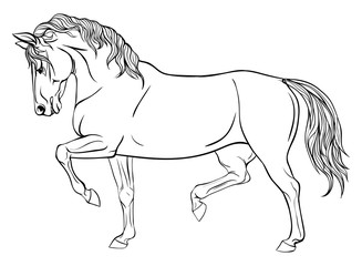 Page coloring with equestrian sport.