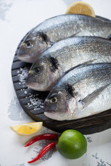 Close-up of raw fresh sea breams with seasonings on a wooden chopping board. White concrete background, studio shot