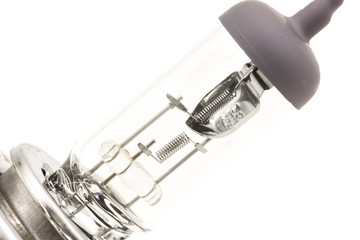 Headlight bulb for isolated on white, automotive part